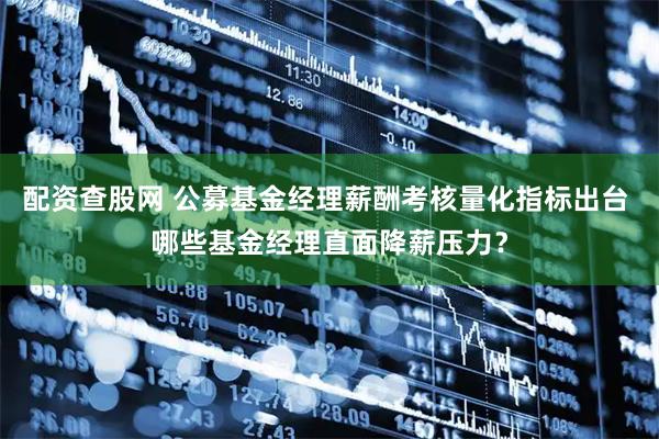 配资查股网 公募基金经理薪酬考核量化指标出台 哪些基金经理直面降薪压力？